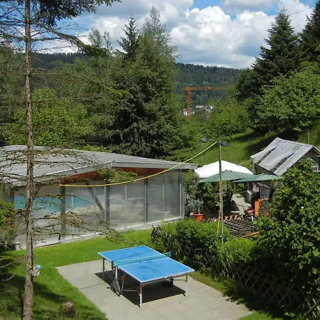 Gorgeous Roofed In With Pond And Pool שילטך